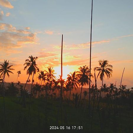 Blue Mountain Cottage سينارو المظهر الخارجي الصورة