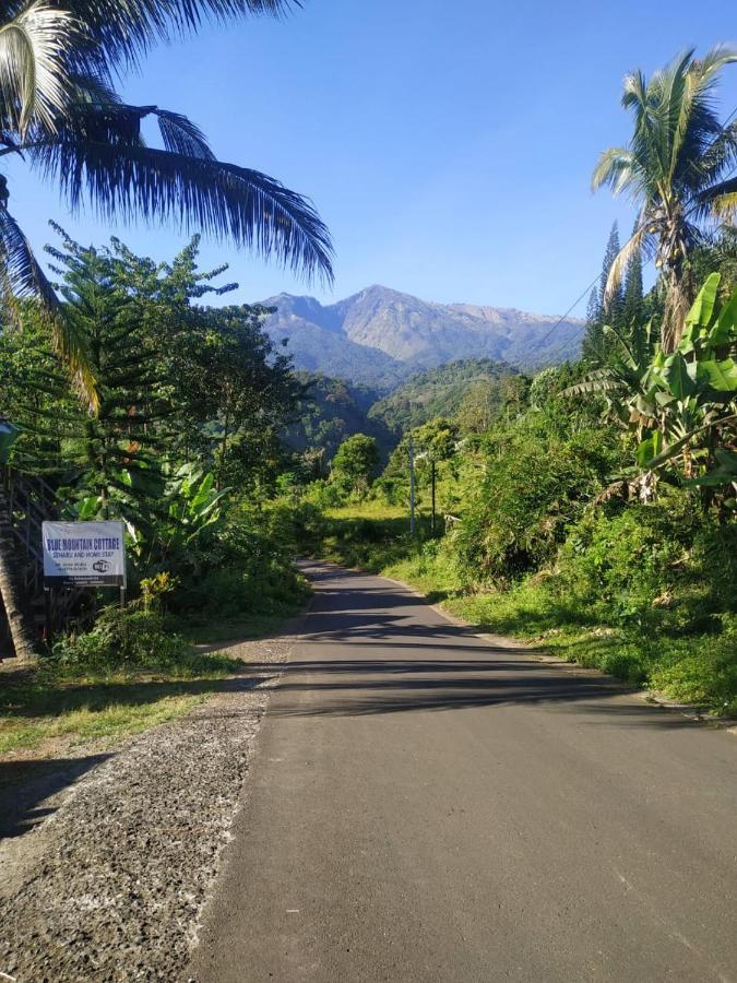 Blue Mountain Cottage سينارو المظهر الخارجي الصورة