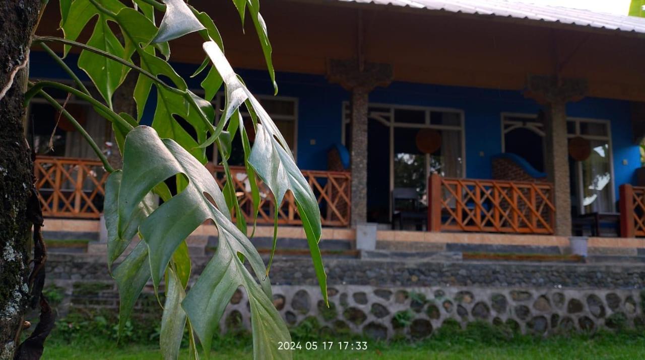 Blue Mountain Cottage سينارو المظهر الخارجي الصورة