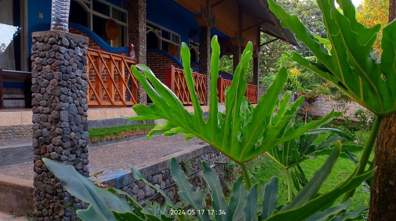 Blue Mountain Cottage سينارو المظهر الخارجي الصورة