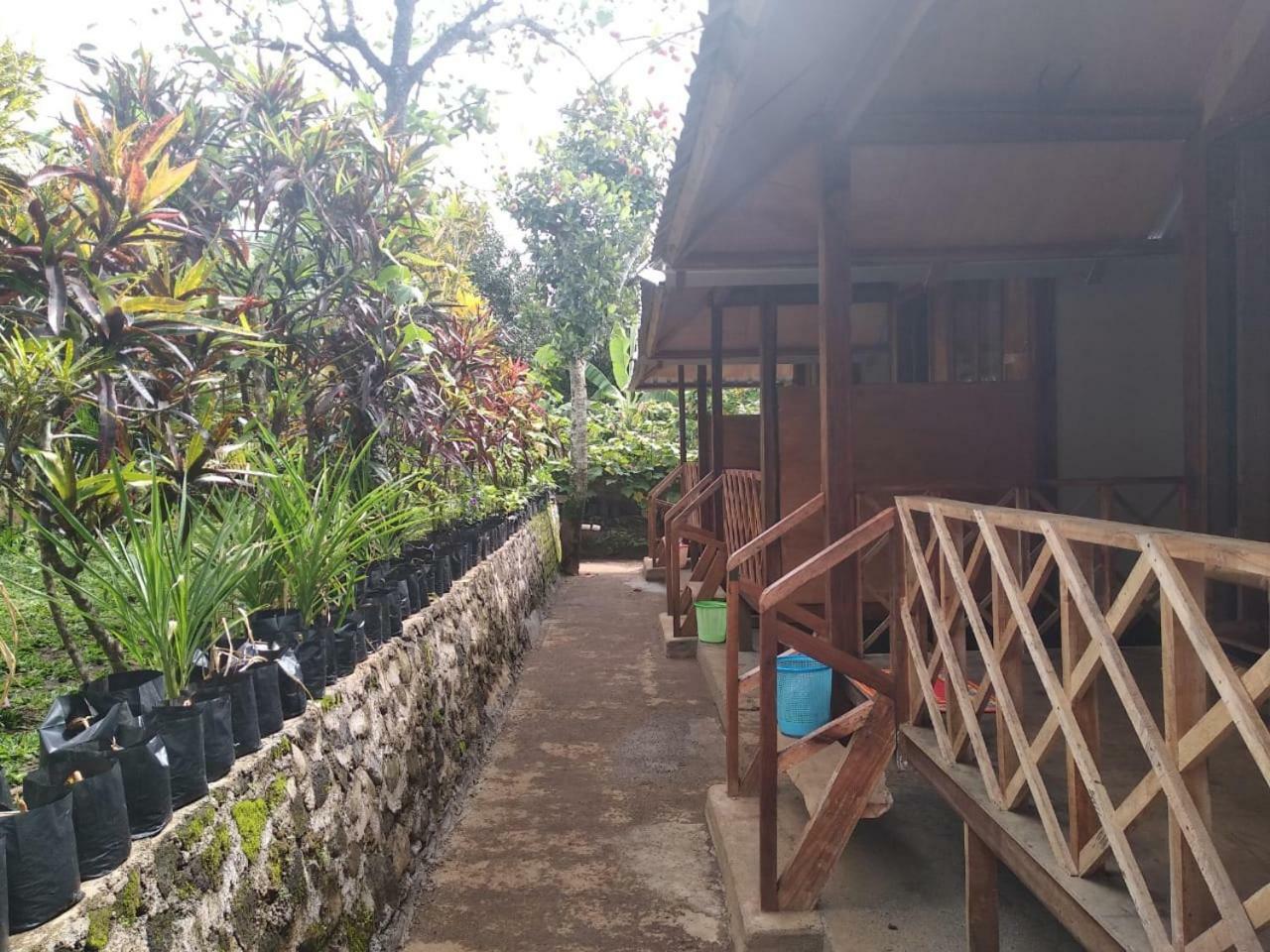 Blue Mountain Cottage سينارو المظهر الخارجي الصورة